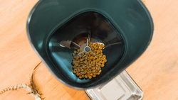 Cecotec Automatyczny Dozownik do karmy Pumba 6000 Purrfect Meal Smart  (9565)