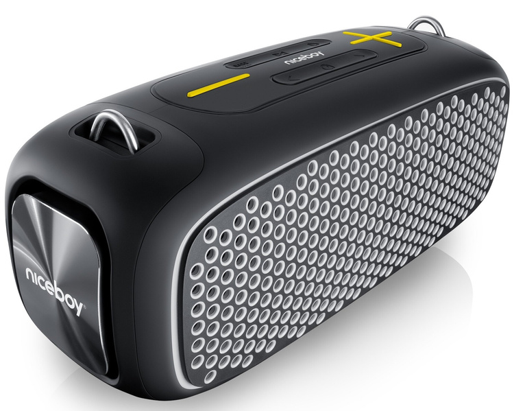 NICEBOY Raze Zeus - Mobilny Głośnik 65W 65W, Bateria 12h, Odporność IPX6