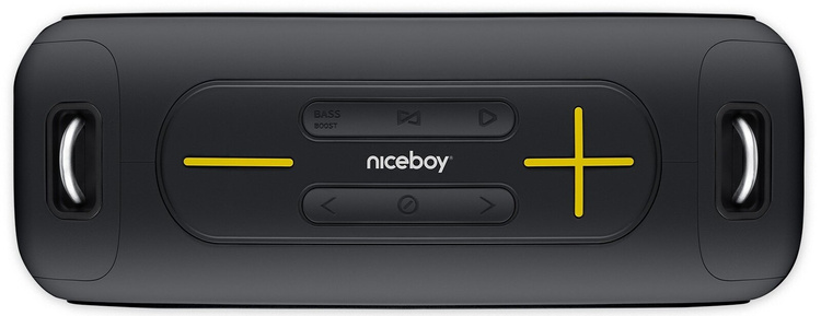 NICEBOY Raze Zeus - Mobilny Głośnik 65W 65W, Bateria 12h, Odporność IPX6