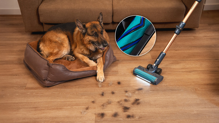 Cecotec RX70 AquaPet Flex Odkurzacz pionowy