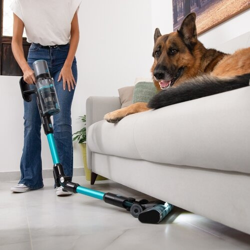 Cecotec Conga Rockstar 2500 Thunder Flex Animal Upright Odkurzacz pionowy