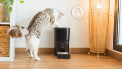 Cecotec Automatyczny Dozownik do karmy Pumba 6000 Purrfect Meal Smart  (9565)
