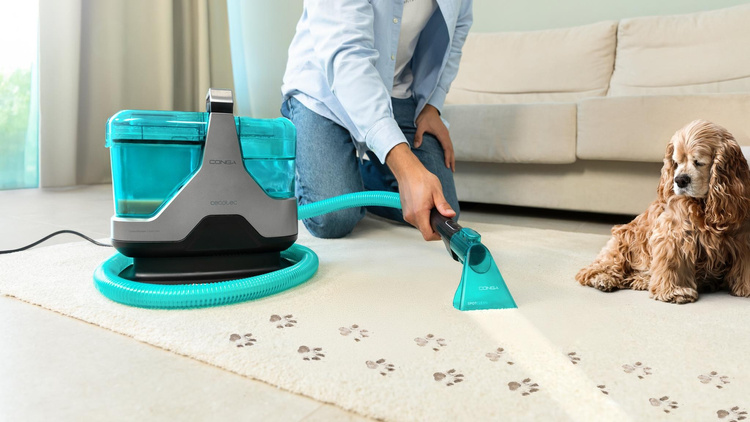 Cecotec Conga 600 Carpet&Spot Clean XXL Advance Odkurzacz piorący