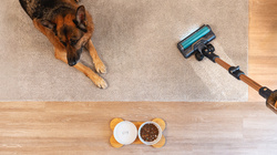 Cecotec RX70 AquaPet Flex Odkurzacz pionowy