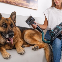 Cecotec Conga Rockstar 2500 Thunder Flex Animal Upright Odkurzacz pionowy