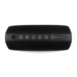 Niceboy RAZE 3 TITAN Głośnik Bluetooth
