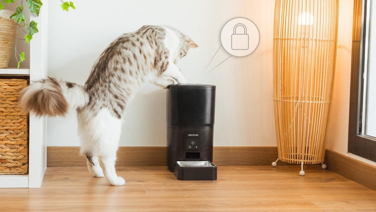 Cecotec Automatyczny Dozownik do karmy Pumba 6000 Purrfect Meal Smart  (9565)