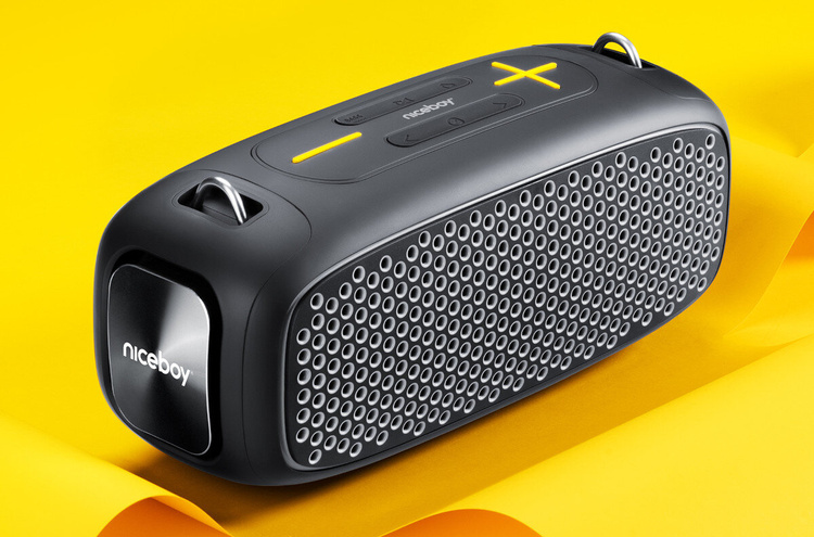 NICEBOY Raze Zeus - Mobilny Głośnik 65W 65W, Bateria 12h, Odporność IPX6