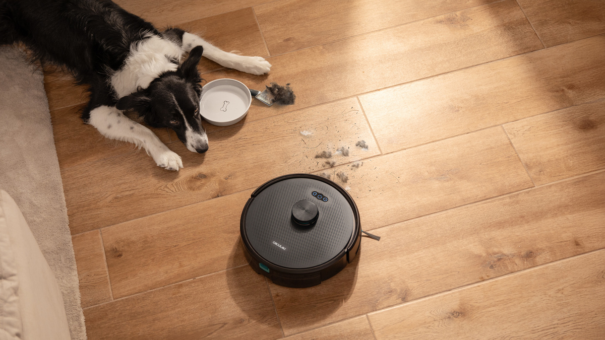 Cecotec Conga Y70 Robot Sprzątający pol_pl_Cecotec-Conga-Y70-Robot-Sprzatajacy-16988_3