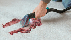 Cecotec Conga 5000 Carpet&Spot Clean XXL Odkurzacz piorący