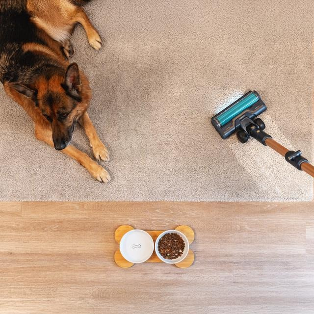 Cecotec Conga Rockstar 10500 Solar AquaPet Flex Odkurzacz pionowy