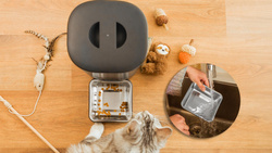 Cecotec Automatyczny Dozownik do karmy Pumba 6000 Purrfect Meal Smart  (9565)